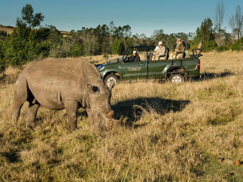 Gondwana Game Reserve Kleinberg Extérieur photo