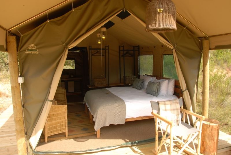 Gondwana Game Reserve Kleinberg Extérieur photo