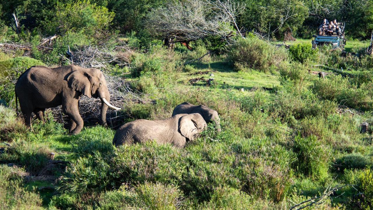 Gondwana Game Reserve Kleinberg Extérieur photo